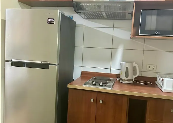 Departamento Centro De Santiago